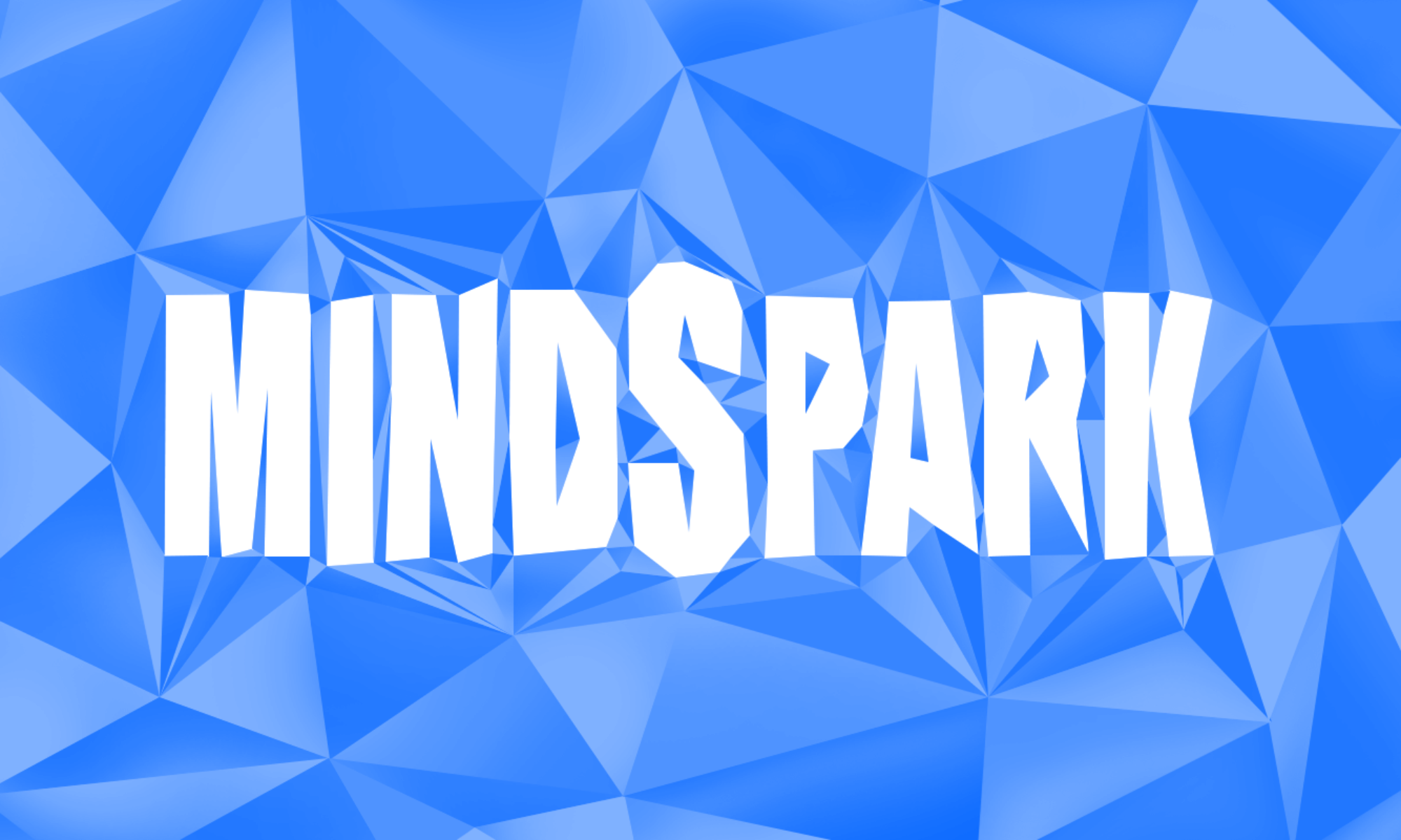 Mindspark LLC